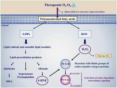 Mechanisms of Action of Ozone Therapy in Emerging Viral Diseases: Immunomodulatory Effects and Therapeutic Advantages With Reference to SARS-CoV-2